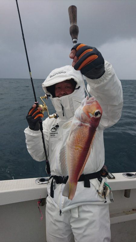 ARCADIAⅡ (アルカディアⅡ) 釣果