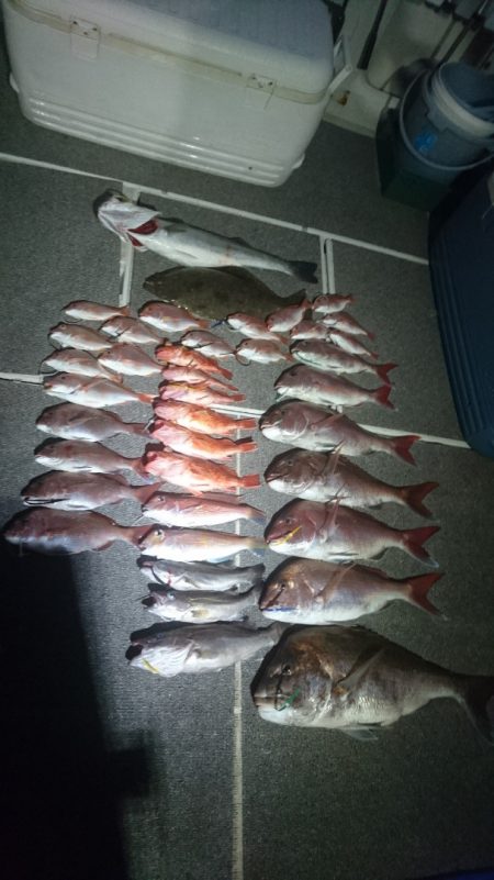 ARCADIAⅡ (アルカディアⅡ) 釣果