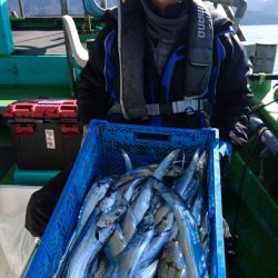 小島丸 釣果