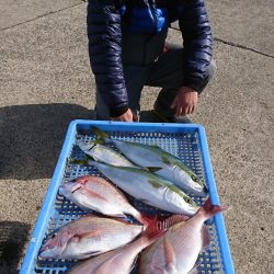 第三共栄丸 釣果