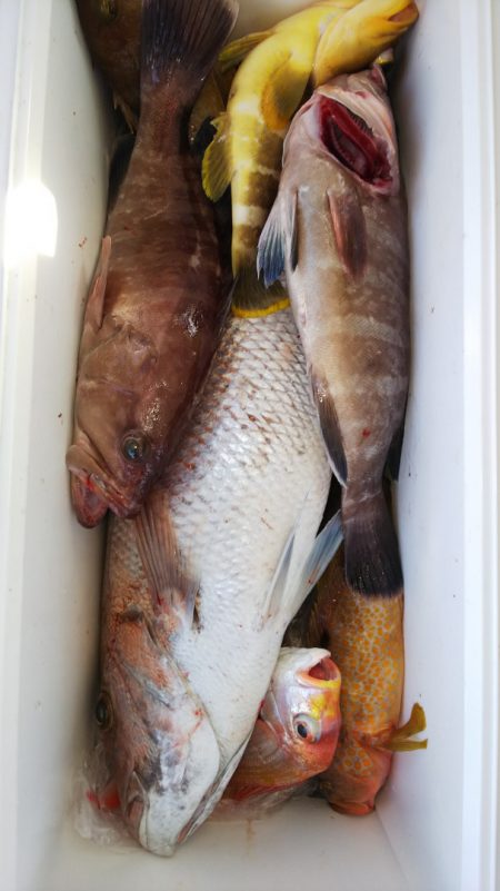 第二龍勢丸 釣果