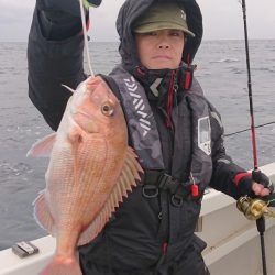 ARCADIAⅡ (アルカディアⅡ) 釣果