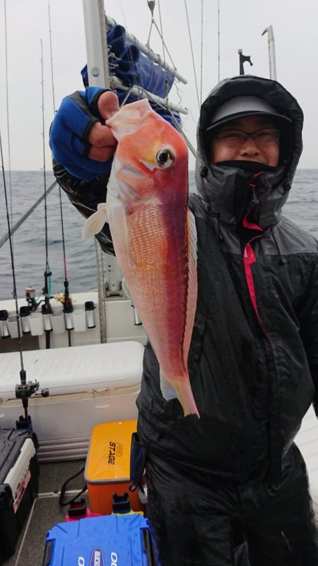 ARCADIAⅡ (アルカディアⅡ) 釣果