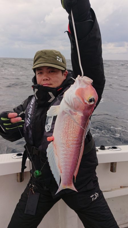 ARCADIAⅡ (アルカディアⅡ) 釣果