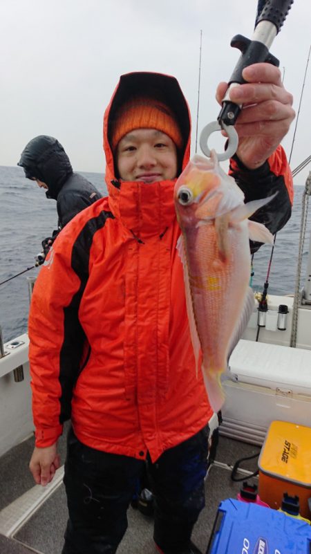 ARCADIAⅡ (アルカディアⅡ) 釣果