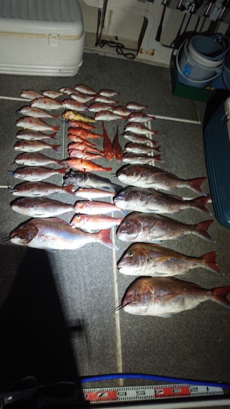 ARCADIAⅡ (アルカディアⅡ) 釣果