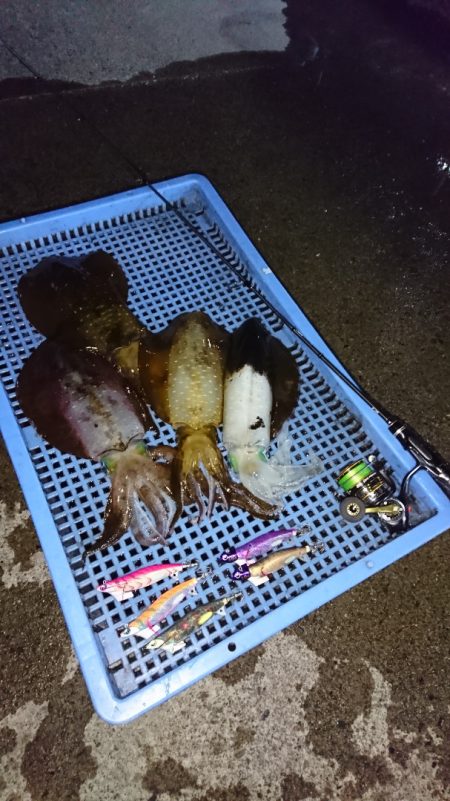 第三共栄丸 釣果