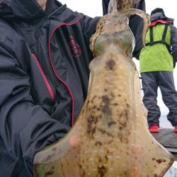 シースナイパー海龍 釣果