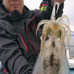 シースナイパー海龍 釣果