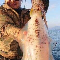 シースナイパー海龍 釣果