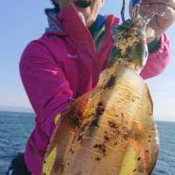 シースナイパー海龍 釣果