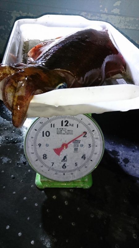 第三共栄丸 釣果