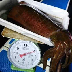 第三共栄丸 釣果