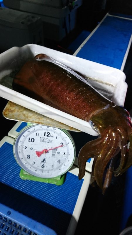 第三共栄丸 釣果