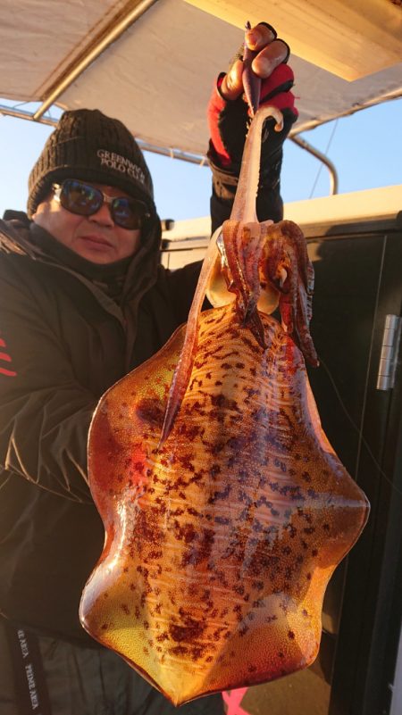 シースナイパー海龍 釣果