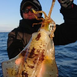 シースナイパー海龍 釣果