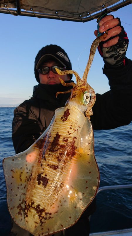 シースナイパー海龍 釣果
