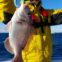 新幸丸 釣果