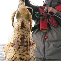 シースナイパー海龍 釣果