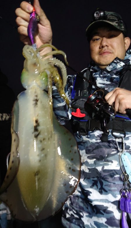 シースナイパー海龍 釣果