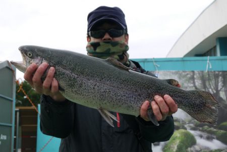 としまえんフィッシングエリア 釣果