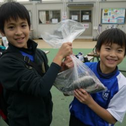 としまえんフィッシングエリア 釣果