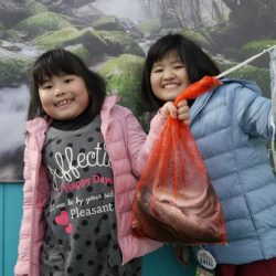 としまえんフィッシングエリア 釣果