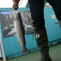 としまえんフィッシングエリア 釣果