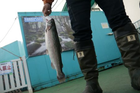 としまえんフィッシングエリア 釣果