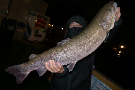 としまえんフィッシングエリア 釣果