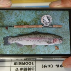 としまえんフィッシングエリア 釣果