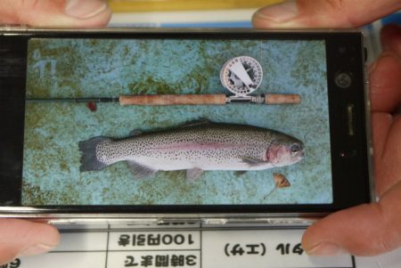 としまえんフィッシングエリア 釣果