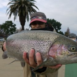 としまえんフィッシングエリア 釣果
