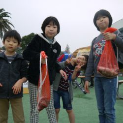 としまえんフィッシングエリア 釣果