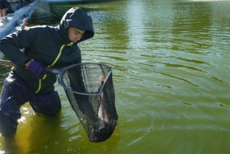 としまえんフィッシングエリア 釣果