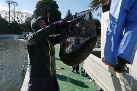 としまえんフィッシングエリア 釣果