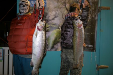 としまえんフィッシングエリア 釣果