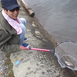 平谷湖フィッシングスポット 釣果