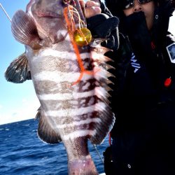 渡船屋たにぐち 釣果