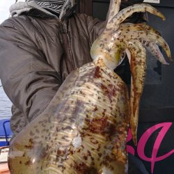 シースナイパー海龍 釣果