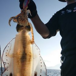シースナイパー海龍 釣果
