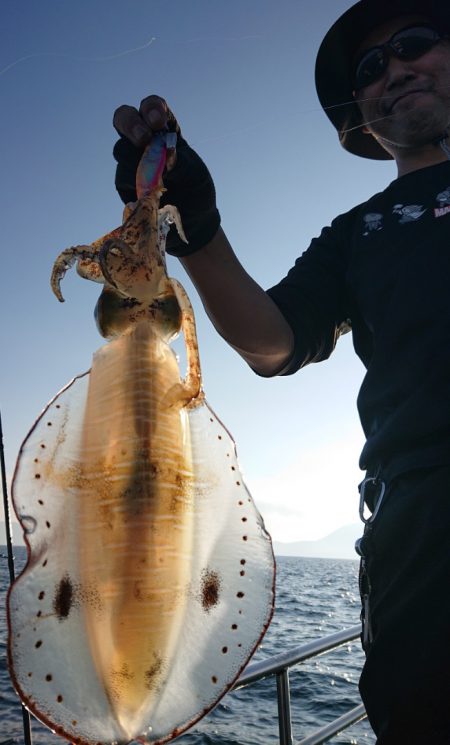シースナイパー海龍 釣果