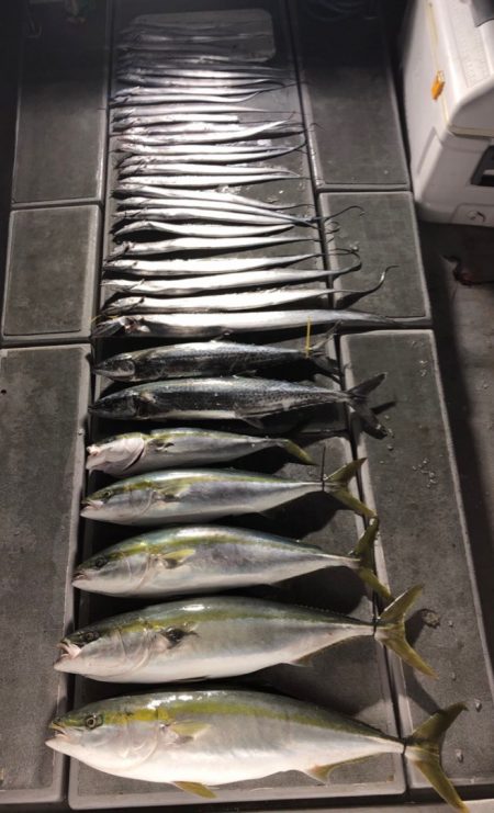 SeaRide(シーライド) 釣果