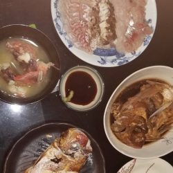 龍神丸(鹿児島) 釣果