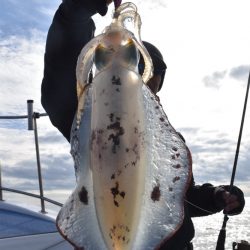 渡船屋たにぐち 釣果