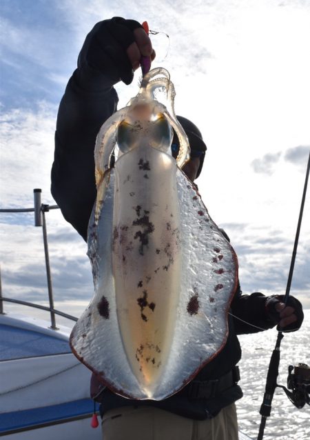 渡船屋たにぐち 釣果