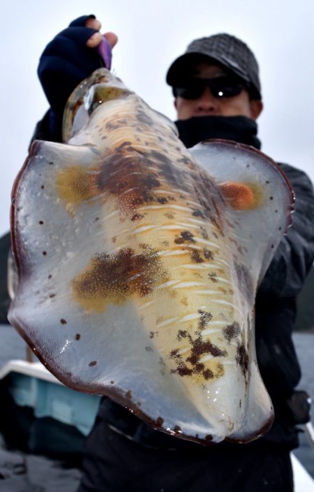 渡船屋たにぐち 釣果