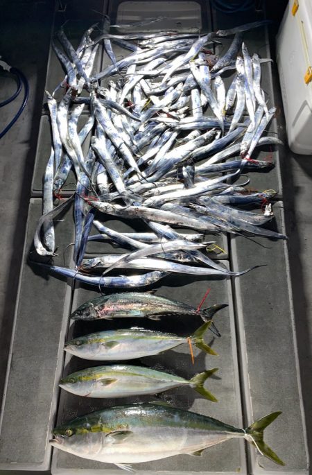 SeaRide(シーライド) 釣果