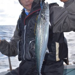 渡船屋たにぐち 釣果