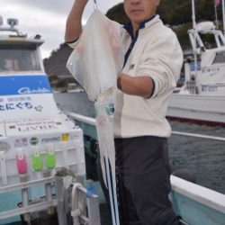 渡船屋たにぐち 釣果